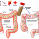 Imagen: ScienceDirect